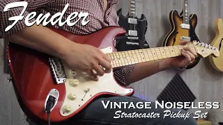 Fender Vintage Noiseless Pickups