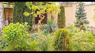 Красивый сад с изюминкой у наших соседей.
