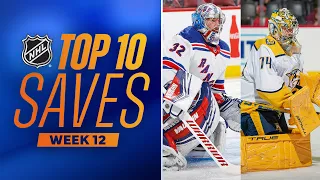 Top 10 Saves from Week 12 | 2023-24 NHL Season