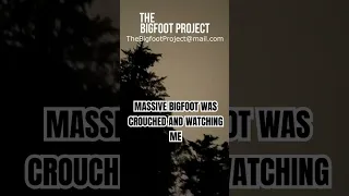 MASSIVE BIGFOOT WAS CROUCHED AND WATCHING ME #shorts #bigfoot #cryptids #paranormal #scary #story