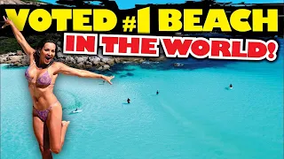 LUCKY BAY - NO.1 BEACH IN THE WORLD! | WHARTON BEACH | CAPE LE GRAND NP | BOGGED IN PARADISE! |