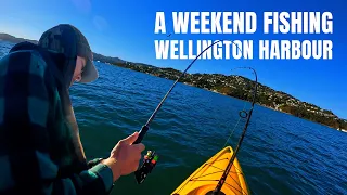 A Weekend Fishing Wellington Harbour by BOAT and KAYAK