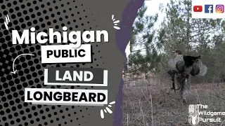 Michigan Public Land Turkey Hunt | Longbeard DOWN | Late Season