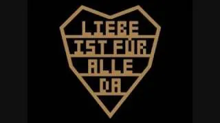 RAMMSTEIN (LIEBE IST FÜR ALLE DA) - ich tu dir weh ( TE HAGO DAÑO ) subtitulado en español