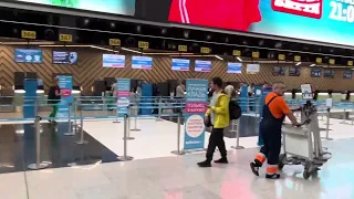 Стойки регистрации Победа авиа Шереметьево терминал C