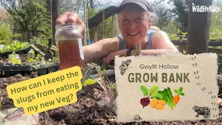 Gwyllt Hollow Grow Bank - How can I control slugs?