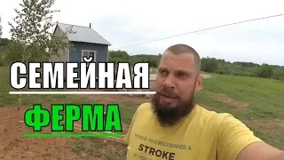 ХОЗЯЙСТВО НА ХУТОРЕ / МАЙ / ЖИВЕМ НА ЗЕМЛЕ