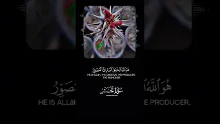 Beautiful quran recitation  | Beautiful quran tilawat | Quran tilawat status #allah #quran #ytshorts