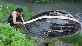 You've never seen a pearl king before, the girl took out an oversized pearl from a clam shell,