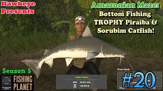 Fishing Planet #20 - S5 | Amazonian Maze: Bottom Fishing TROPHY Piraiba & Sorubim Catfish!