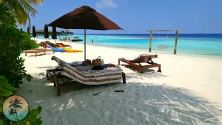 Lily Beach Resort MALDIVES 🌴 | Beach Villa 4K Room TOUR Vlog | South ARI | All Inclusive Resort