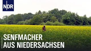 Senf - Der Scharfmacher des Nordens | Die Nordreportage | NDR Doku