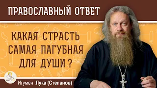 КАКАЯ СТРАСТЬ САМАЯ ПАГУБНАЯ ДЛЯ ДУШИ ?  Игумен Лука (Степанов)