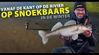 SPRO - Shore Fishing For River Zander In The Winter