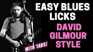 David Gilmour of Pink Floyd EZ and FUN Style Blues Guitar Licks & Devices