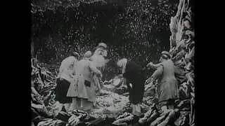 Viaje a la luna - Georges Méliès (1902)