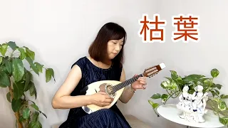 『枯葉／Kosma』をマンドリン二重奏で弾いてみた　mandolin cover