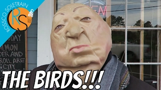 The Birds Filming Locations and Alfred Hitchcock Museum Bodega California