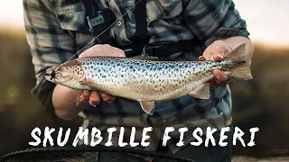 Sea Trout On Foam Beetle : We fly fish in a small stream!