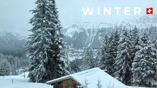 Lauterbrunnen To Mürren : Winter Train 🇨🇭