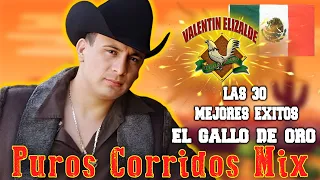 Valentin Elizalde ( El Gallo De Oro ) Mix Puros Corridos Con Banda - Las 30 Mejores Exitos