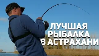 Астраханские РАЗДАЧИ! Лучшая рыбалка за все поездки в АО. Часть первая. Камызякский район