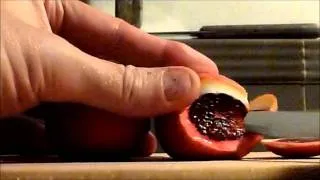 Blood orange: Would you eat it, or does it creep you out?