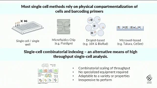 E01.3 Advancing single-cell genomics using combinatorial indexing