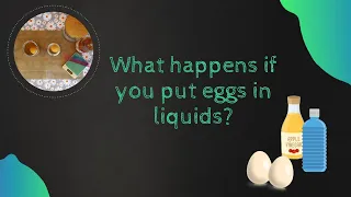 WHAT HAPPENS IF YOU PUT EGGS IN DIFFERENT LIQUIDS?