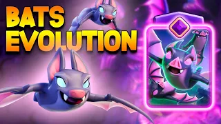 *NEW* Bats Evolution And *EVERYTHING* You Need to Know About Them