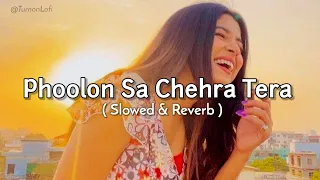 Phoolon Sa Chehra Tera - Slowed & Reverb | Udit Narayan | 90s hindi Song Lofi Version