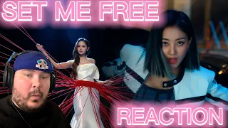 OMG!! TWICE "SET ME FREE" M/V - REACTION!!!