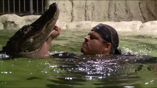 Alligator Wrestling Traditions