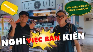 Nghỉ việc Bán Kiến- Cơn Thèm Kiến bất chợt tái phát ở Just Ant Singapore | Thèm Bò Sát