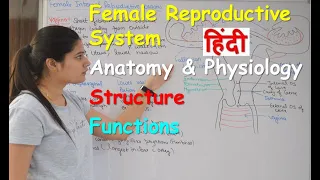 Female reproductive system in Hindi | external genitalia Area | Internal genitalia area | Functions