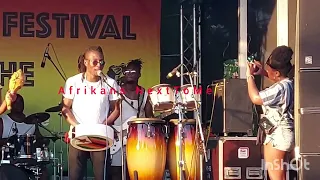 Zimbabwe's in African Festival in Karlsruhe @africansnexttome