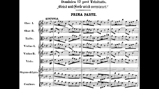 Johann Sebastian Bach - Cantata: Geist und Seele wird verwirret, BWV 35. {w/ score.}