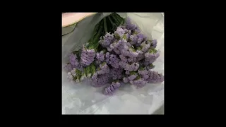 Amores e flores- Melim (speed up)