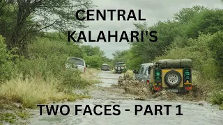 Central Kalahari   Part 1