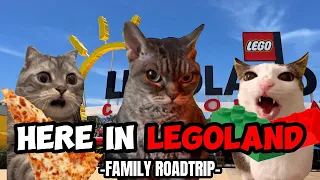 CAT MEMES: HERE IN LEGO LAND