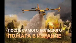 После самого большого пожара в истории Израиля