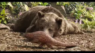 Jungle Book Best scenes Compilation of Mowgli