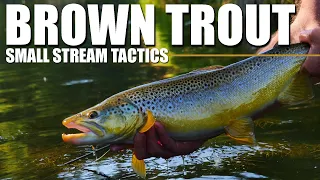 Small Stream Tactics for Brown Trout - Locating and Fly Fishing Brown Trout in Tight Spots
