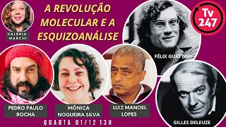 A revolução molecular e a esquizoanálise