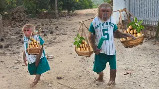 Abu Oly harvests fruit at the farm to feed mother