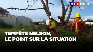 Tempête Nelson : le Grand Ouest balayé, des rafales jusqu'à 183 km/h, TF1 fait le point