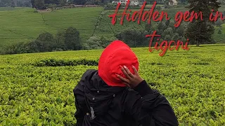 TEA FARM HIKE IN TIGONI-waterfall inn