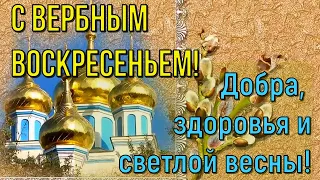 Вербное Воскресенье! Красивое Поздравление с Вербным Воскресеньем! Музыкальная Открытка!