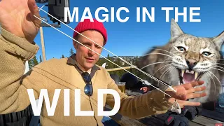 Magic in the Wild in Sweden😳 - Julien Magic