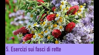 5. Esercizi sui fasci di rette